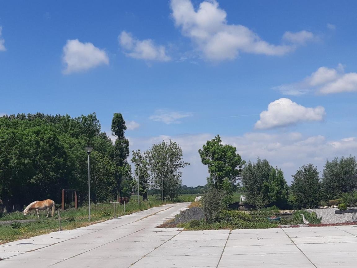 Bedstay41 Oudewater Dış mekan fotoğraf
