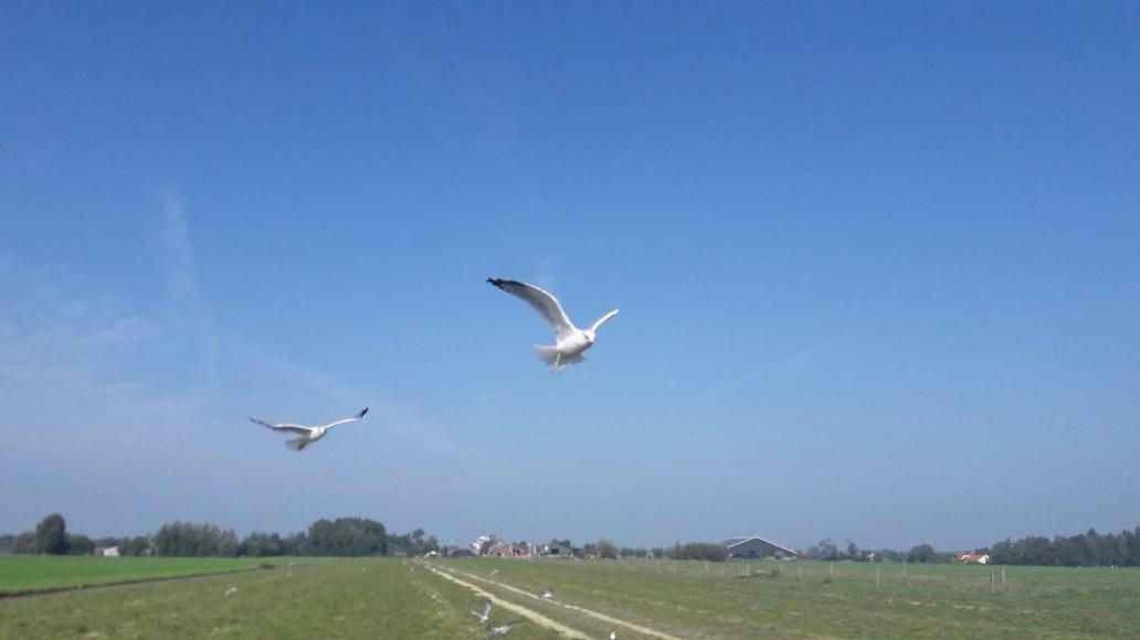 Bedstay41 Oudewater Dış mekan fotoğraf