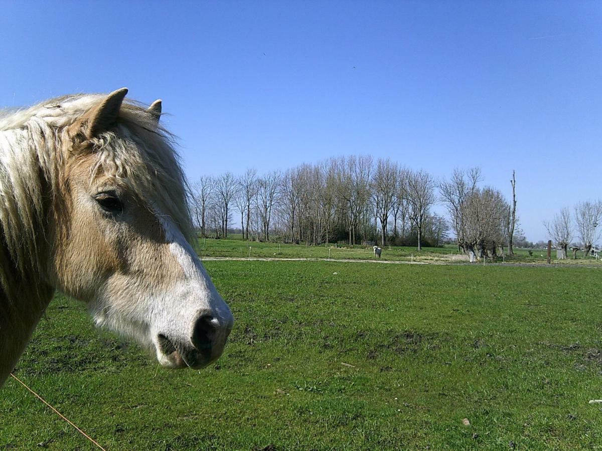 Bedstay41 Oudewater Dış mekan fotoğraf